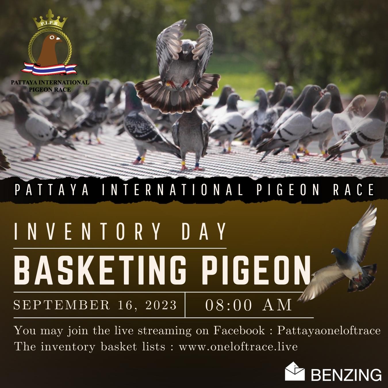 Basketing Pigeons Inventory Day